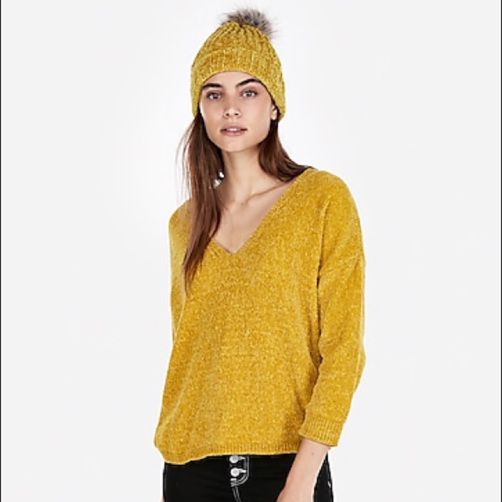 Express Velvet Chenille Sweater NWT